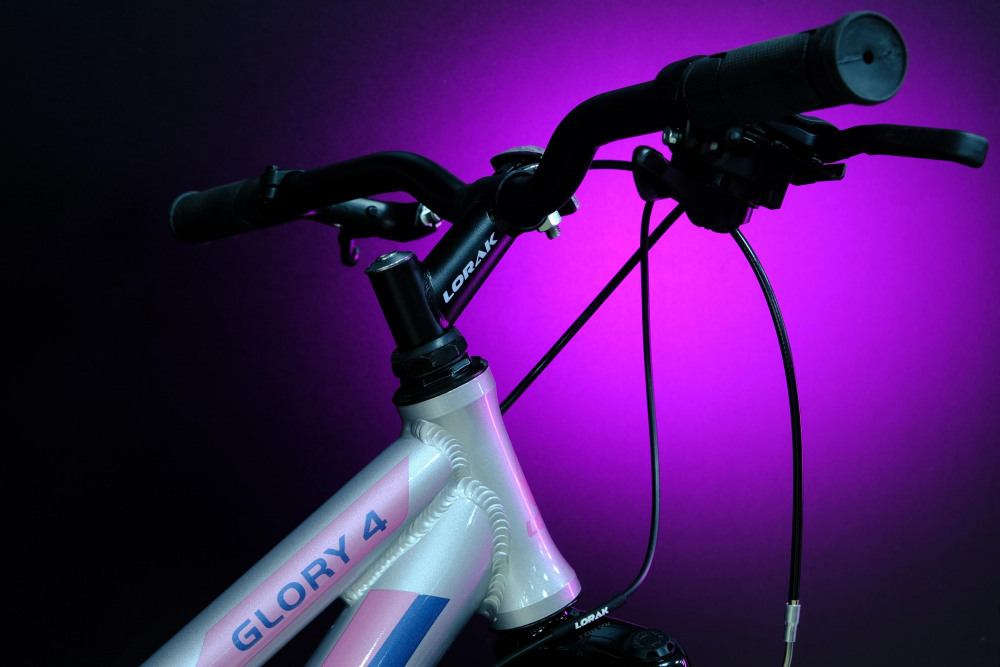 Lorak Glory 4 Серебристый/Розовый рама 17 (на рост 155-173)